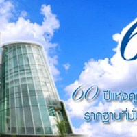 Портфолио ประกันภัยรถยนต์